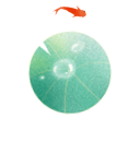 10f1158fa80165446d6cd8ba7c579411.gif