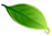 20210516/d517d8591bd2de94d0fc524686e19742.png d517d8591bd2de94d0fc524686e19742.png