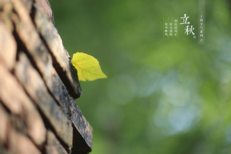 20210811/bda46f17b91d7c87bd424e32898d1990.gif bda46f17b91d7c87bd424e32898d1990.gif