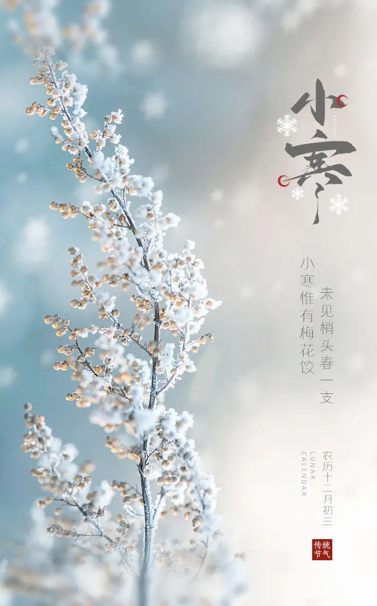 cea31a20886a6407e466ed334d3beb8c.jpg