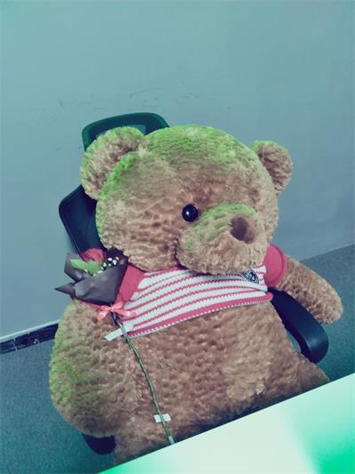 be1d116cebb6a4e765088781d315c0c5.jpg